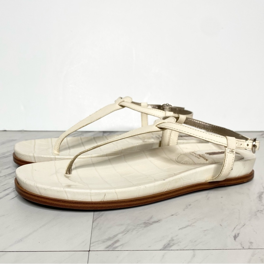 Sam Edelman Naomi Modern Ivory Crocodile Leather Sandal 6 1/2 M
